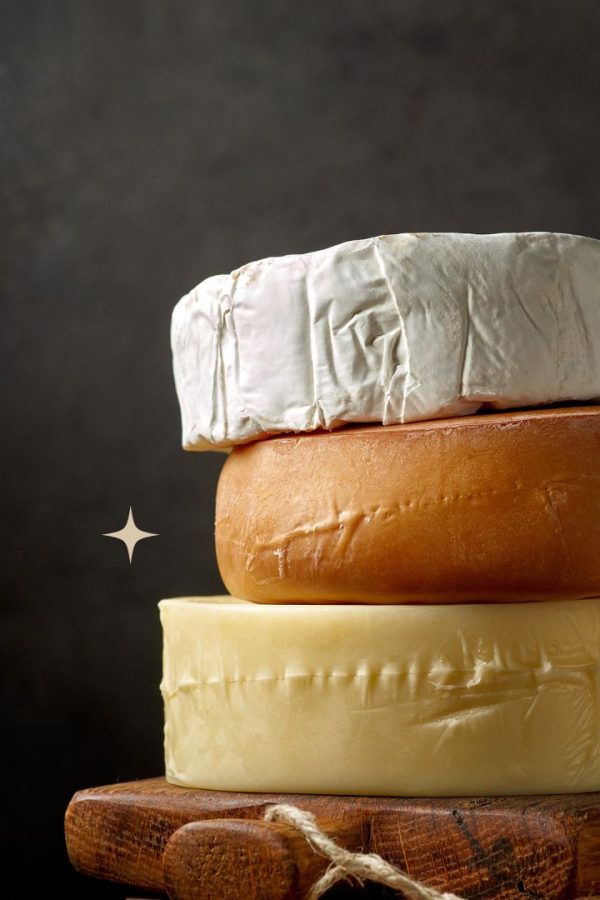 Cheese Lovers Day Template